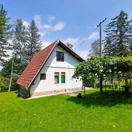 Villa Takovo - Odmor U Selu Gornji Milanovac Exterior foto