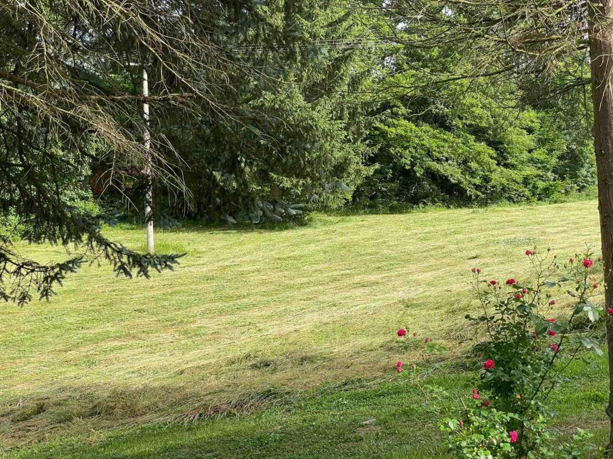 Villa Takovo - Odmor U Selu Gornji Milanovac Exterior foto