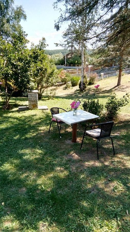 Villa Takovo - Odmor U Selu Gornji Milanovac Exterior foto