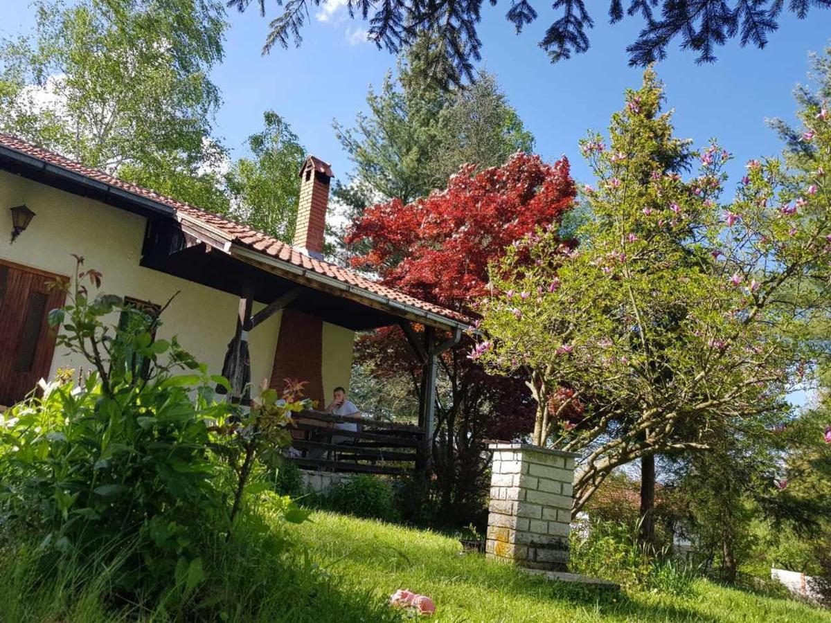 Villa Takovo - Odmor U Selu Gornji Milanovac Exterior foto
