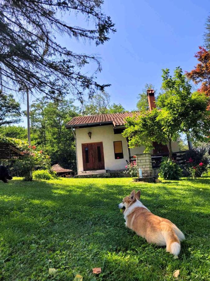 Villa Takovo - Odmor U Selu Gornji Milanovac Exterior foto