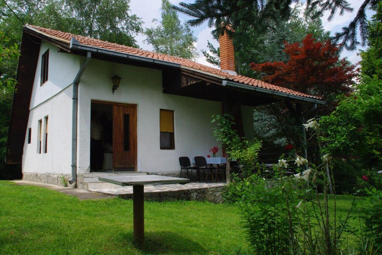 Villa Takovo - Odmor U Selu Gornji Milanovac Exterior foto